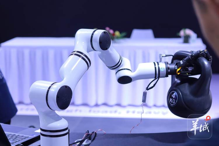 發布123款新產品，融資14.81億元 2025世界機器人大會展現行業強勁動能